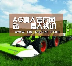 关于AG真人