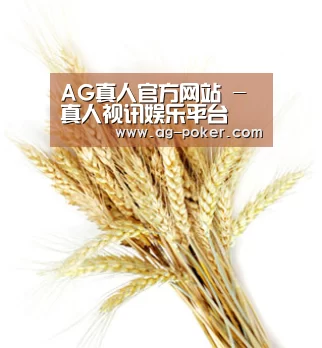 AG真人官方网站 - 真人视讯娱乐平台
