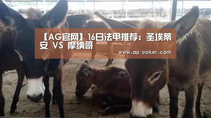 AG娱乐
