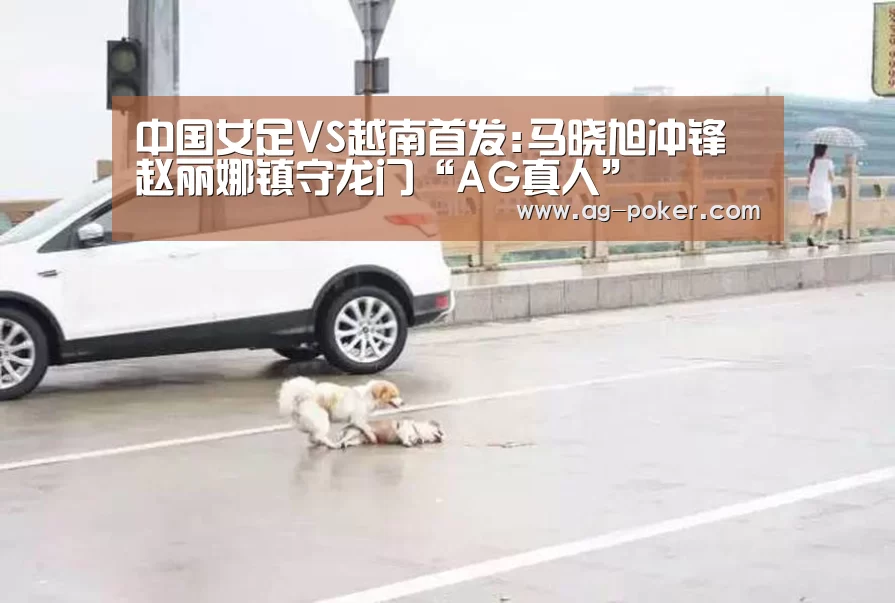 AG官网